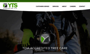 Mntreeservice.com thumbnail