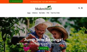 Modern-mint.com thumbnail