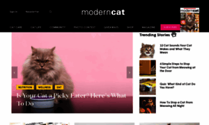 Moderncat.com thumbnail