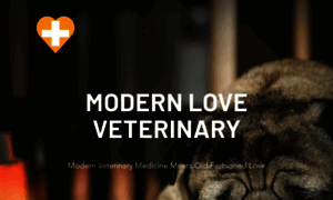 Modernlovevet.com thumbnail