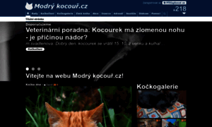 Modrykocour.cz thumbnail