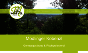 Moedlingerkobenzl.at thumbnail