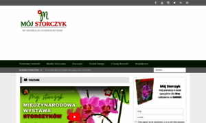 Mojstorczyk.pl thumbnail