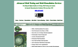 Mold-removal-remediation-testing-inspections-ma.com thumbnail