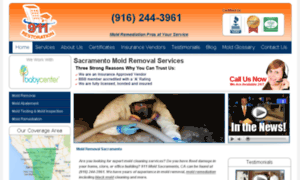 Mold-removal-sacramento.com thumbnail