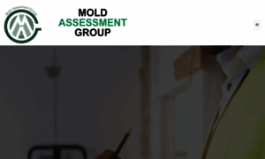 Moldassessmentgroup.com thumbnail