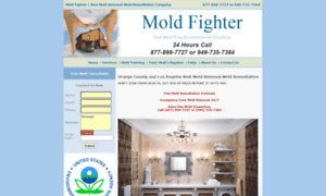 Moldfighter.com thumbnail