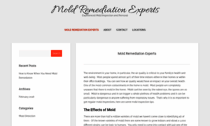 Moldremediationexperts.net thumbnail