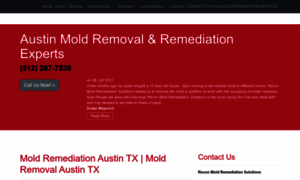 Moldremovalaustin.net thumbnail