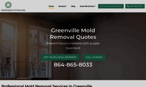 Moldremovalgreenville.co thumbnail