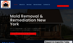 Moldremovalremediationnewyork.com thumbnail