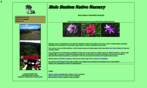 Molestationnursery.com thumbnail