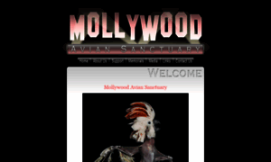 Mollywood.org thumbnail