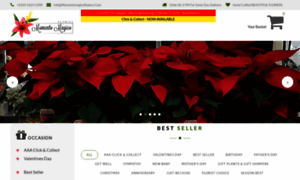 Momentomagicoflowers.com thumbnail