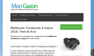 Mon-gazon.fr thumbnail