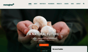 Monaghan-mushrooms.com thumbnail