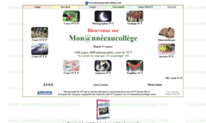 Monanneeaucollege.com thumbnail