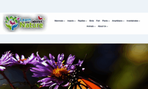 Monarch-butterfly.com thumbnail