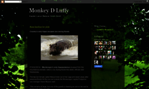 Monkeydlulffy.blogspot.com thumbnail