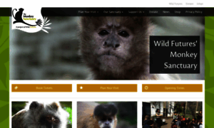 Monkeysanctuary.org thumbnail