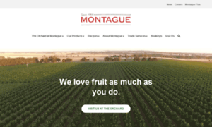 Montague.com.au thumbnail