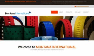 Montanainternational.in thumbnail