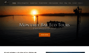 Montereybayecotours.com thumbnail