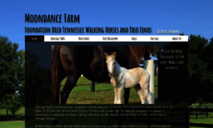 Moondancewalkinghorses.com thumbnail