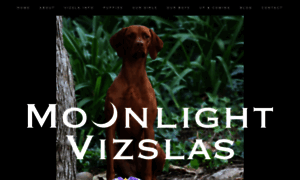 Moonlightvizslas.com thumbnail