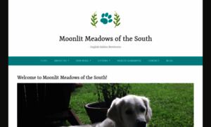 Moonlitmeadowsofthesouth.com thumbnail