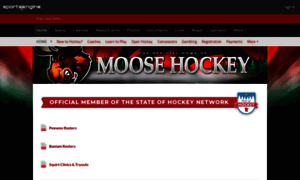 Mooseyouthhockey.sportngin.com thumbnail