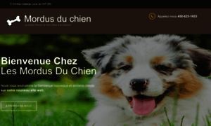 Mordusduchien.com thumbnail