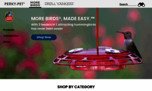 Morebirds.com thumbnail
