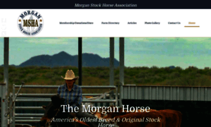 Morganstockhorse.com thumbnail