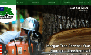 Morgantree.com thumbnail