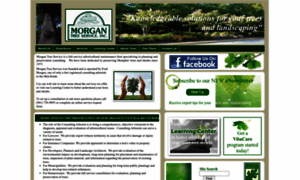 Morgantreeservice.com thumbnail