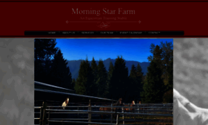 Morningstartrainingstables.com thumbnail