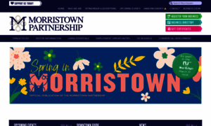 Morristown-nj.org thumbnail