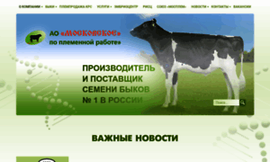 Mos-bulls.ru thumbnail