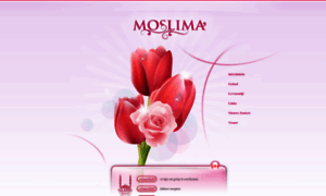 Moslima.nl thumbnail