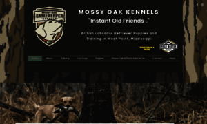 Mossyoakkennels.com thumbnail