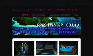 Mountainfreshwater.weebly.com thumbnail