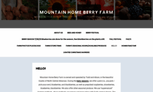 Mountainhomeberryfarm.com thumbnail