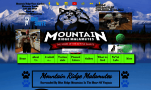 Mountainridgemalamutes.com thumbnail