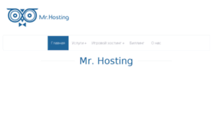 Mr-hosting.com thumbnail