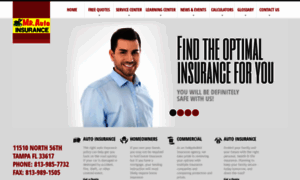 Mrautoinsurancetampa.net thumbnail