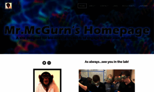 Mrmcgurn.weebly.com thumbnail