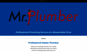 Mrplumberdenver.com thumbnail