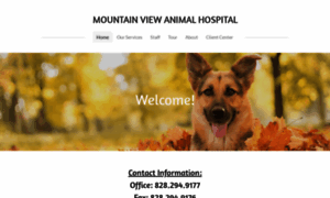 Mtnviewanimalhospital.com thumbnail