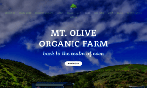 Mtolivefarm.com thumbnail